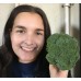 BROCCOLI MEDIUM Each  PUKEKOHE Grown 